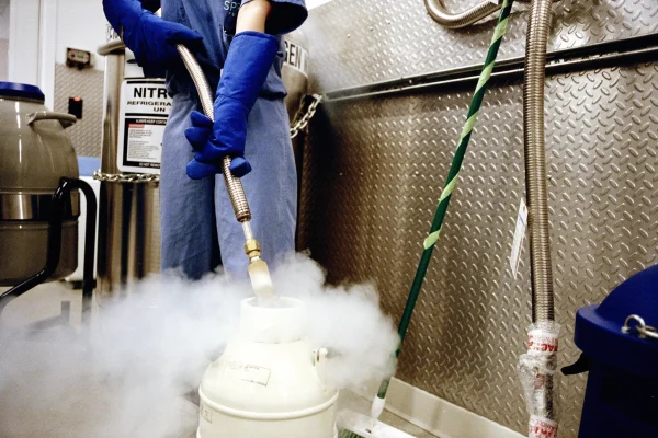 egg freezing