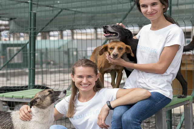 Kennel And Cattery Management course