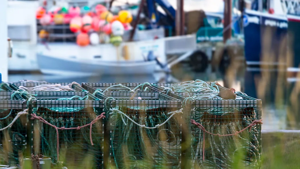 Lobster Fishing