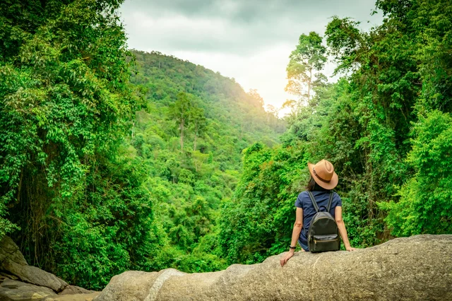Ecotherapy course