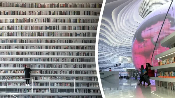 Library