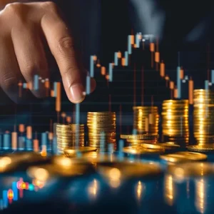Portfolio Management course