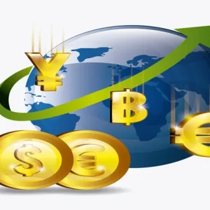 Gobal Currencies course