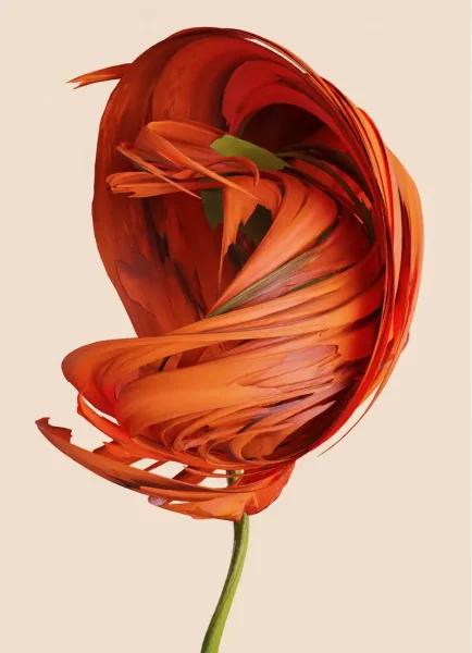 Flora