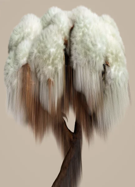 Flora