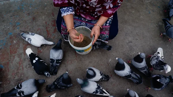 Old Delhi