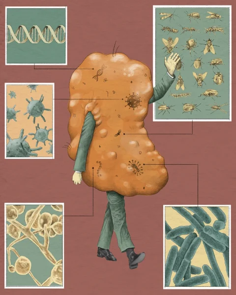 Earwax