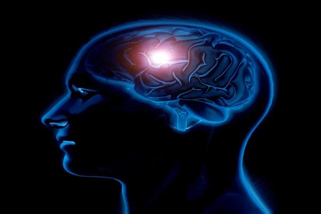 Neuro Habits course
