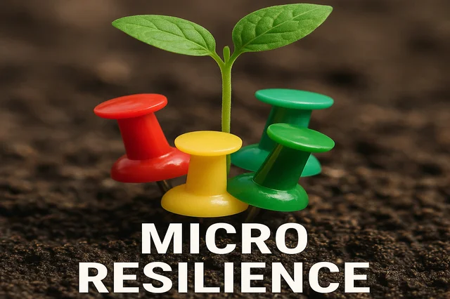 Micro-Resilience course