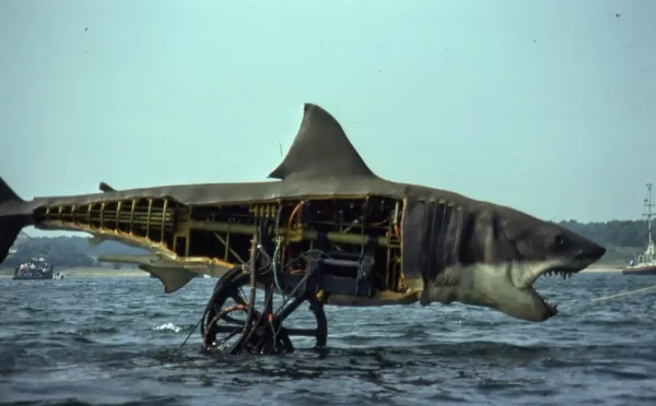 Jaws