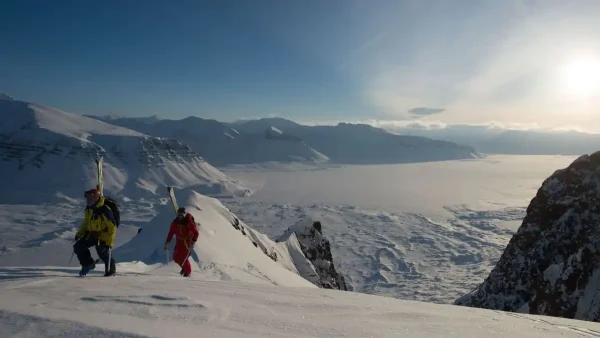 Polar