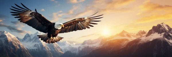 Golden Eagles
