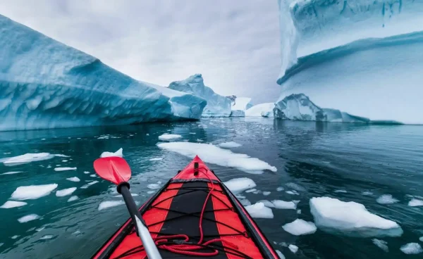 Polar