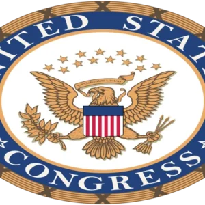American Government course