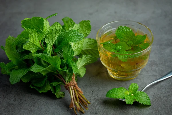 Dental Herbalism