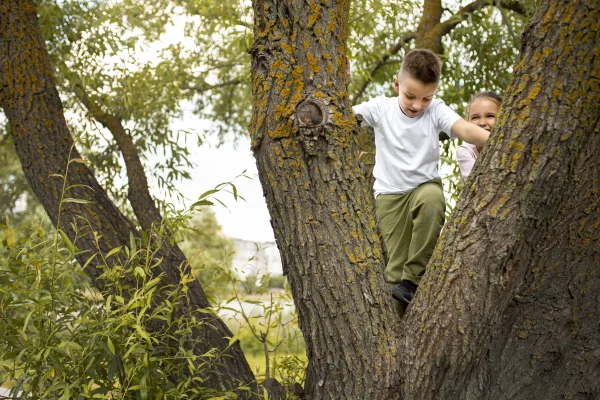 Danish Parenting