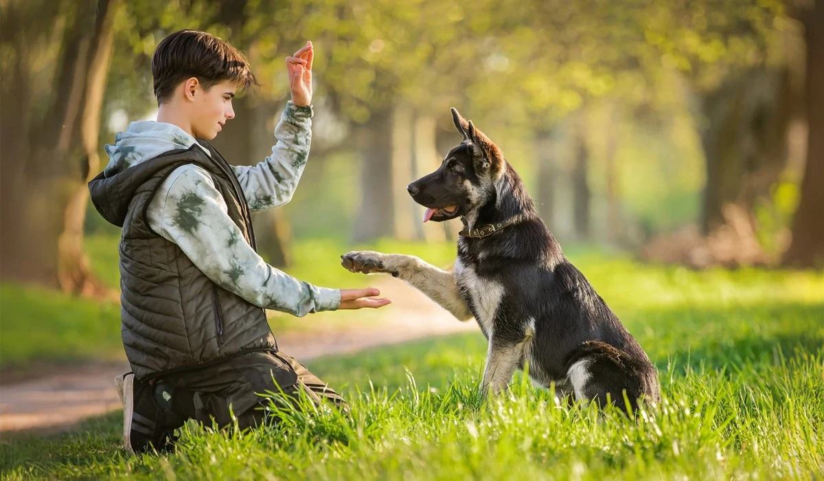 featured-image